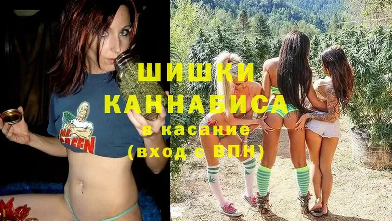 Канабис Bruce Banner  blacksprut ССЫЛКА  Жиздра 